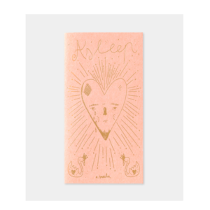 TRAVELER's Notebook Refill Bellows Aitor Saraiba (Standard)